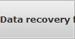 Data recovery for Orlando data