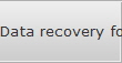 Data recovery for Orlando data